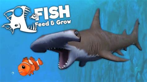 feed and grow fish|feed and grow fish grátis.